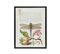 Artery8 Dragonfly Pear & Carnation Calligraphy Framed Canvas Wall Art Print in White | Size: W12" x H16" Artery8 White W12" x H16"