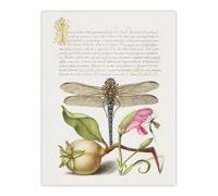 Artery8 Dragonfly Pear & Carnation Calligraphy Wall Art Poster Print in White | Size: W12" x H16" Artery8 White W12" x H16"
