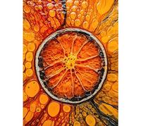 Artery8 Dried Orange Slice Vibrant Macro Liquid Painting Extra Large XL Wall Art Poster Print