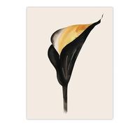 Artery8 Elegant Calla Lily Flower Bloom Black Gold Floral Bedroom Large Wall Art Poster Print Thick Paper 18X24 Inch