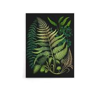 Artery8 Elegant Fern Fronds Botanical Canvas Wall Art Print 12X16: Minimal botanical study print, soothing decor for bathrooms, studies, or naturalist homes