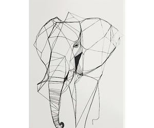 Artery8 Elephant Simple Polygon Line Drawing Illustration Extra Large XL Wall Art Poster Print