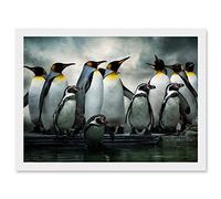 Artery8 Emperor Penguin Birds Antarctic A4 Artwork Framed Wall Art Print in White Artery8 White