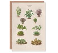 Artery8 Ernst Benary Art Card Botanical Bushes Vintage Illustration