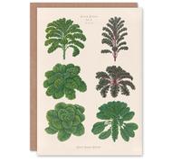 Artery8 Ernst Benary Art Card Kale and Brussel Sprouts Vintage Botanical