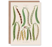 Artery8 Ernst Benary Art Card Kidney and Snap Beans Varieties