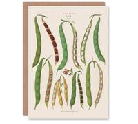 Artery8 Ernst Benary Art Card Kidney and Snap Beans Varieties