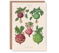 Artery8 Ernst Benary Art Card Kohlrabi Turnip Cabbage Varieties