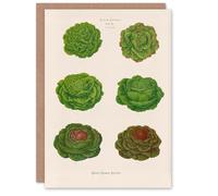 Artery8 Ernst Benary Art Card Lettuce and Cabbage Varieties