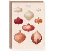 Artery8 Ernst Benary Art Card Onion Varieties Vintage Illustration