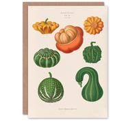 Artery8 Ernst Benary Art Card Ornamental Gourds Vintage Botanical