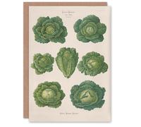 Artery8 Ernst Benary Art Card Savoy Cabbages Vintage Botanical in White Artery8 White