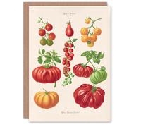 Artery8 Ernst Benary Art Card Tomatoes or Love Apples Vintage Botanical