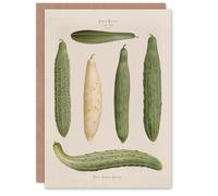 Artery8 Ernst Benary Art Card Trellis Frame Cucumber Varieties