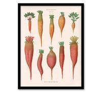 Artery8 Ernst Benary Mangold Wurzels Field Beet Varieties Framed Art Print in White | Size: A3 Artery8 White A3