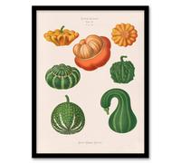 Artery8 Ernst Benary Ornamental Gourds Vintage Botanical Framed Wall Art Print in White | Size: A4 Artery8 White A4