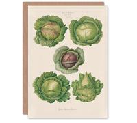 Artery8 Ernst Benary Personalised Art Card Cabbage Varieties Vintage Botanical