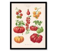 Artery8 Ernst Benary Tomatoes or Love Apples Vintage Botanical Artwork Framed A3 Wall Art Print