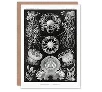 Artery8 Ernst Haeckel Art Card Ascomycetes Fungi Species Vintage