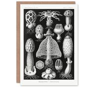 Artery8 Ernst Haeckel Art Card Basimycetes Fungi Species Vintage