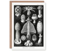Artery8 Ernst Haeckel Art Card Basimycetes Fungi Species Vintage