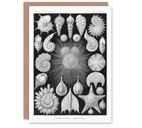 Artery8 Ernst Haeckel Art Card Forams Vintage Illustration in Black Artery8 Black
