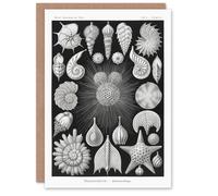 Artery8 Ernst Haeckel Art Card Forams Vintage Illustration