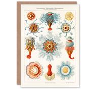 Artery8 Ernst Haeckel Art Card Jellyfish Hydromedusen Hydrozoa
