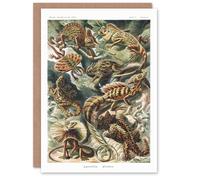 Artery8 Ernst Haeckel Art Card Lacertilia Reptile Lizard Species Artery8 Multicolor