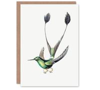 Artery8 Ernst Haeckel Art Card Marvelous Spatuletail Hummingbird