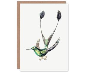 Artery8 Ernst Haeckel Art Card Marvelous Spatuletail Hummingbird