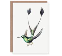 Artery8 Ernst Haeckel Art Card Marvelous Spatuletail Hummingbird in White Artery8 White