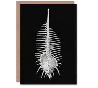 Artery8 Ernst Haeckel Art Card Murex Seashell Sketch on Black
