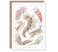 Artery8 Ernst Haeckel Art Card Nudibranch Sea Slug Molluscs
