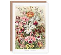 Artery8 Ernst Haeckel Art Card Orchid Flower Colourful Varieties