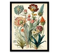 Artery8 Ernst Haeckel Botanical Plant Study Modern Watercolour Framed Wall Art Print