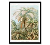 Artery8 Ernst Haeckel Framed Wall Art Tropical Nature Filicinae Fern Plants in Green | Size: A3 Artery8 Green A3