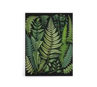Artery8 Ernst Haeckel Inspired Fern Leaf Fronds Canvas Wall Art Print in Green | Size: W24" x H32" Artery8 Green W24" x H32"