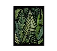 Artery8 Ernst Haeckel Inspired Fern Leaf Fronds Framed Canvas Wall Art Print in Green | Size: W12" x H16" Artery8 Green W12" x H16"