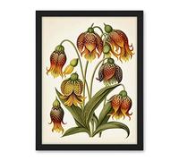 Artery8 Ernst Haeckel Inspired Fritillaria Flower Plant Study Modern Watercolour Painting Illustration Artwork Framed Wall Art Print 18X24 Inch