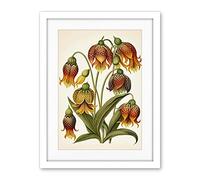 Artery8 Ernst Haeckel Inspired Fritillaria Flower Plant Study Modern Watercolour Painting Illustration Artwork Framed Wall Art Print 18X24 Inch
