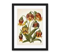 Artery8 Ernst Haeckel Inspired Fritillaria Flower Plant Study Modern Watercolour Painting Illustration Artwork Framed Wall Art Print 18X24 Inch