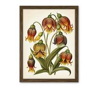 Artery8 Ernst Haeckel Inspired Fritillaria Flower Plant Study Modern Watercolour Painting Illustration Artwork Framed Wall Art Print 18X24 Inch