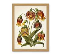 Artery8 Ernst Haeckel Inspired Fritillaria Flower Plant Study Modern Watercolour Painting Illustration Artwork Framed Wall Art Print 18X24 Inch