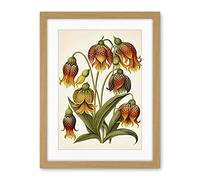Artery8 Ernst Haeckel Inspired Fritillaria Flower Plant Study Modern Watercolour Painting Illustration Artwork Framed Wall Art Print 18X24 Inch