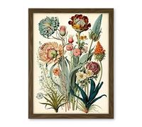 Artery8 Ernst Haeckel Inspired Vintage Botanical Plant Study Modern Watercolour Painting Illustration Artwork Framed Wall Art Print 18X24 Inch