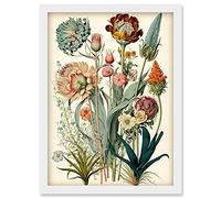 Ernst Haeckel Inspired Vintage Botanical Plant Study Modern Watercolour Painting Illustration Artwork Framed Wall Art Print A4 Artery8 White One Size