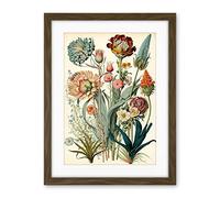 Artery8 Ernst Haeckel Inspired Vintage Botanical Plant Study Modern Watercolour Painting Illustration Artwork Framed Wall Art Print 18X24 Inch