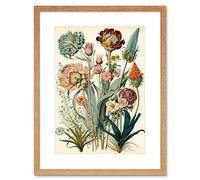 Artery8 Ernst Haeckel Inspired Vintage Botanical Plant Study Modern Watercolour Painting Illustration Artwork Framed Wall Art Print 12X16 Inch