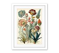 Artery8 Ernst Haeckel Inspired Vintage Botanical Plant Study Modern Watercolour Painting Illustration Artwork Framed Wall Art Print 18X24 Inch